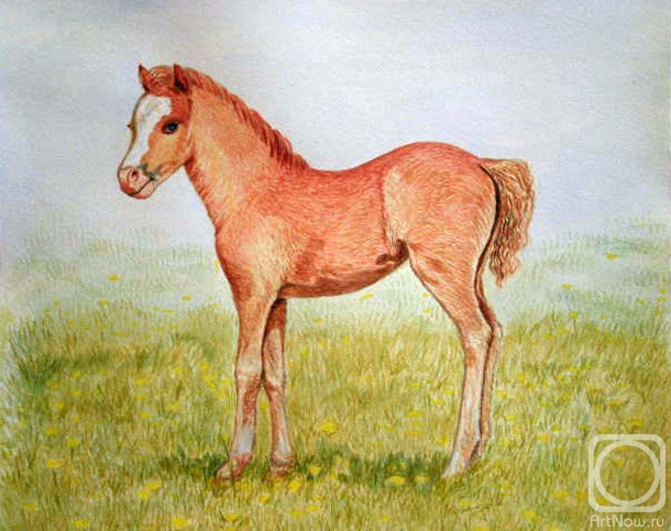 �������. �������� ������. �����