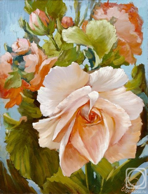 ������� ������ �� ������. �������� �����. ����