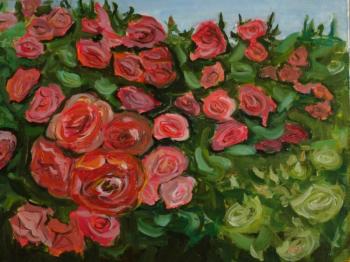 ������� ���. ���������� �����