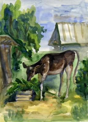 ������� �������� ����