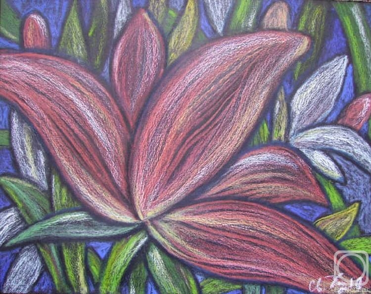 �������. ������� ���������. ������� ������-2