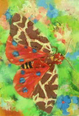 Large, rare butterfly ( ). Trosinenko Olga