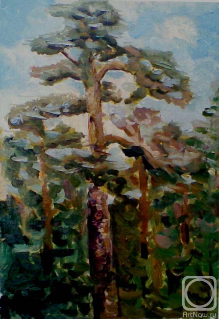 �������. ���������� �����. ��������� ����. �����