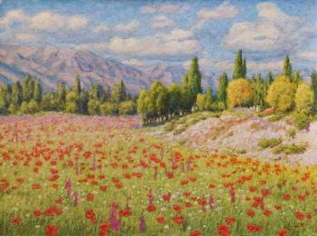 ������� �������� ����