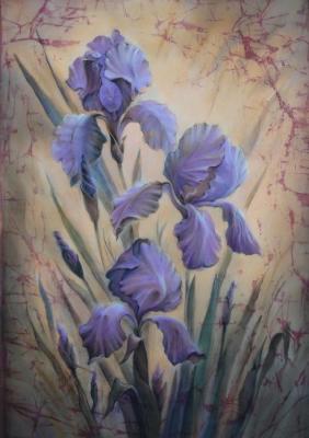 Favorite irises