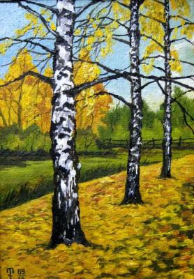 October. Birches (etude). Kalikov Timur