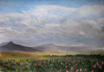 ������� ���� ���������