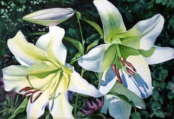 Lilies