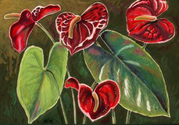 ������� ��������� ������