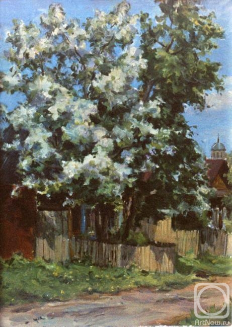 Deynega Tatyana. The apple-tree in blossom