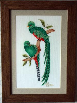 Green parrots. Strykava Tatsiana