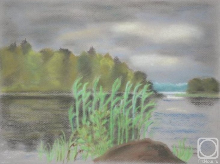 Shitova Yulia. Untitled