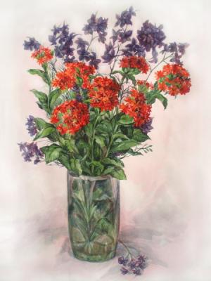 ������� ������ ������