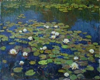 Water lilies. Komarov Alexandr