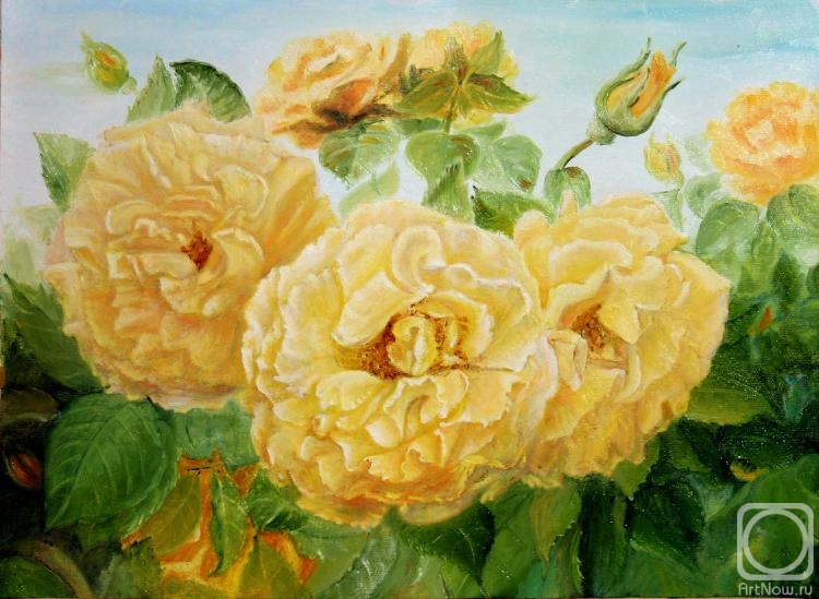 ������� ������ �� ������. ���������-������������ ������. ������ ����