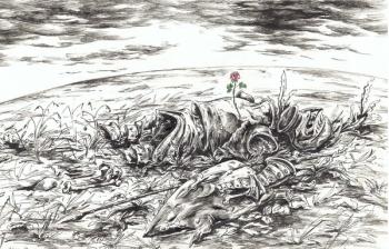 ������� ���� ���������