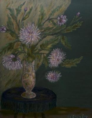 The life of chrysanthemums from birth to withering. Bekman Rita