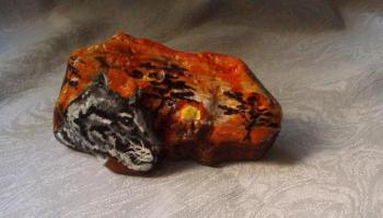 � ���������