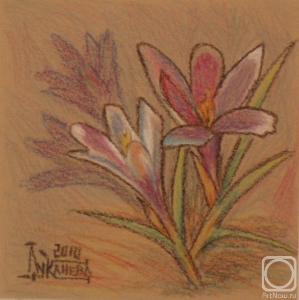 �������. �������� ������. ������ ��������