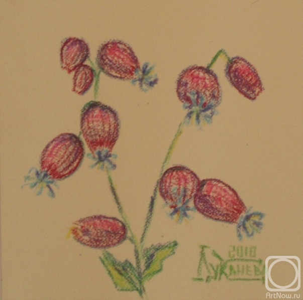 �������. �������� ������. ��������