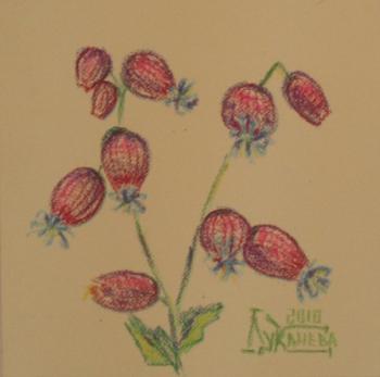 ��������. �������� ������