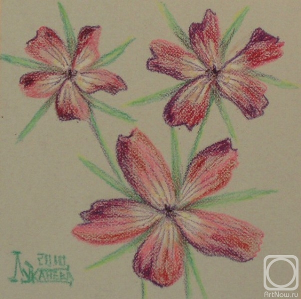 �������. �������� ������. ������