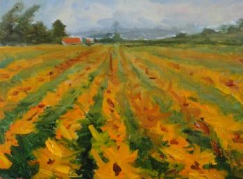 ������� �����������