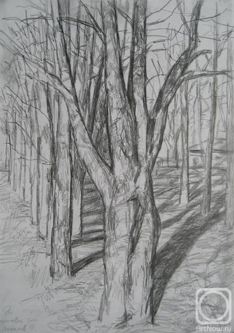 Pomelov Fedor. Trees