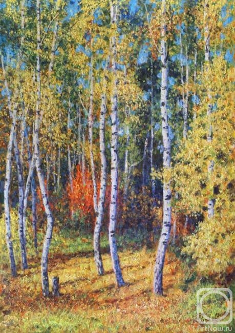 Razzhivin Igor. Harmonous birches