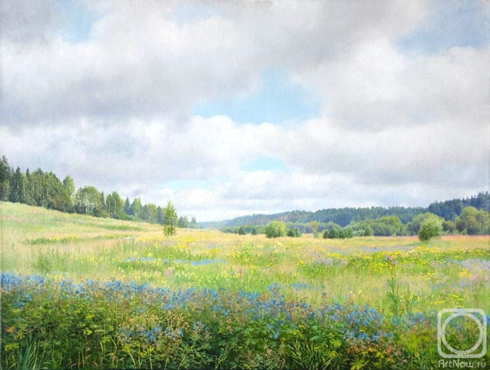 Sheglov Dmitriy. Summer meadow