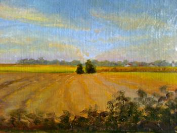 Compressed niva. Gvozdetskaya Irina