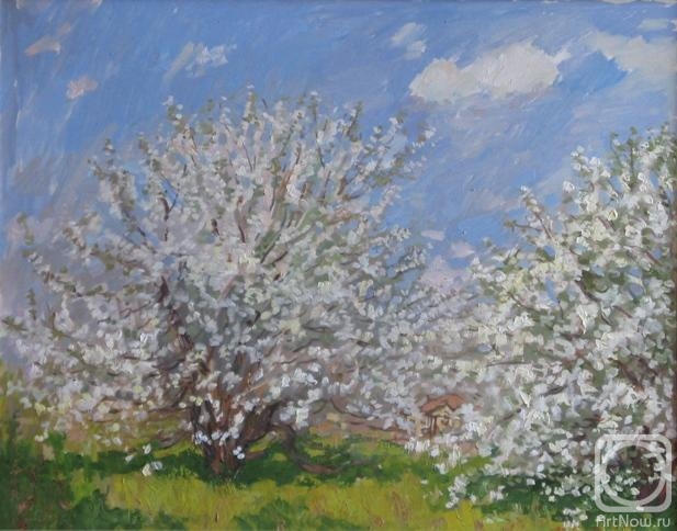 �������. ������� ���������. ������� ������