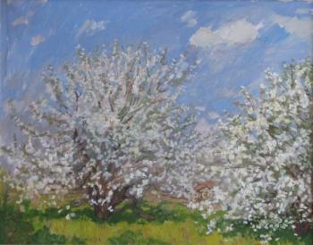 ������� �������� ������