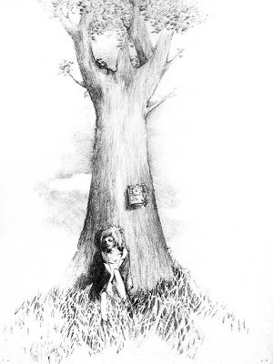 ������� �������� ����������. ������� �����