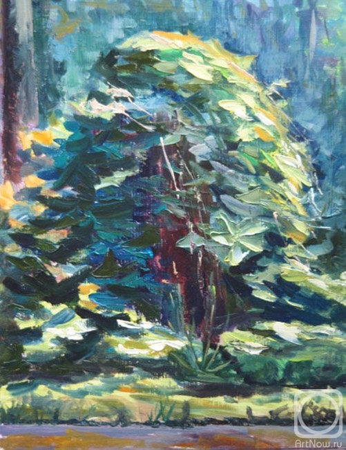 ������� ������ �� ������. ���������� �����. ������ ������