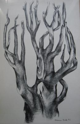 Trees-3
