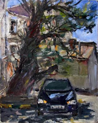 The house, the tree, the car. Korolev Leonid