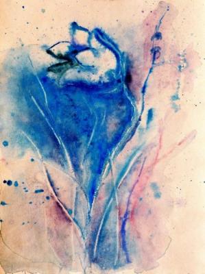 ����� ����������. ��������� (���������� �����). �������� �������