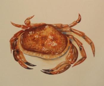 305 (crab). Lukaneva Larissa