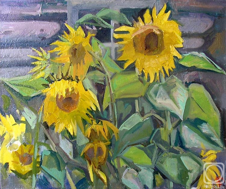 Bernatskiy Nikolay. Sunflowers