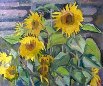 Sunflowers. Bernatskiy Nikolay