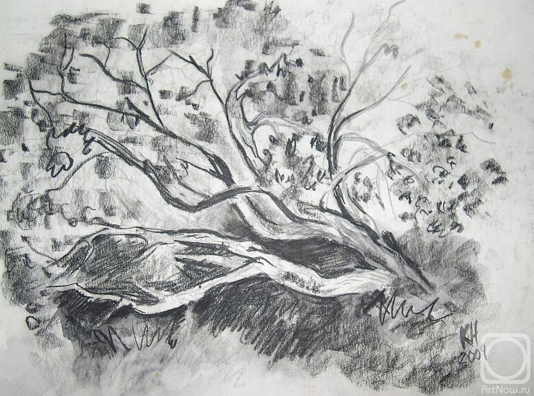 �������. �������� �������. �����