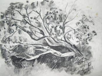 ������� �������