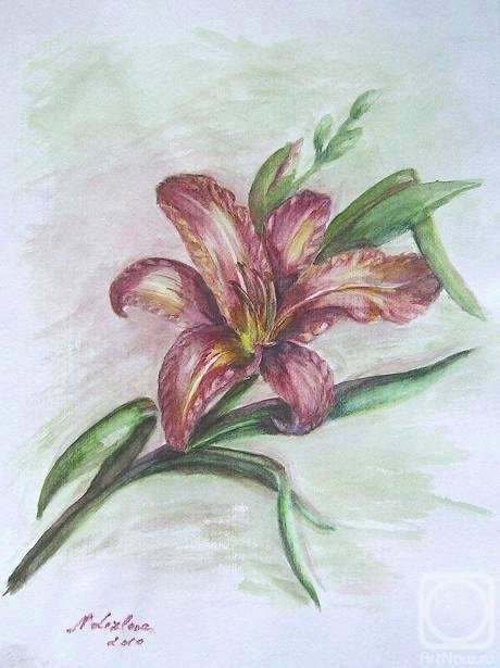 �������. ������� �������. �����