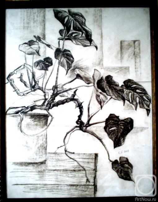 �������. �������� �������. ��� ������