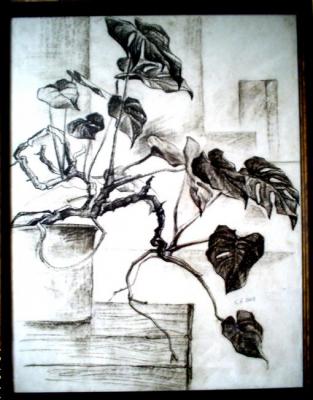 ������� ���� ������