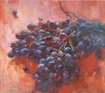 Black grapes. Korkishko Viktorya