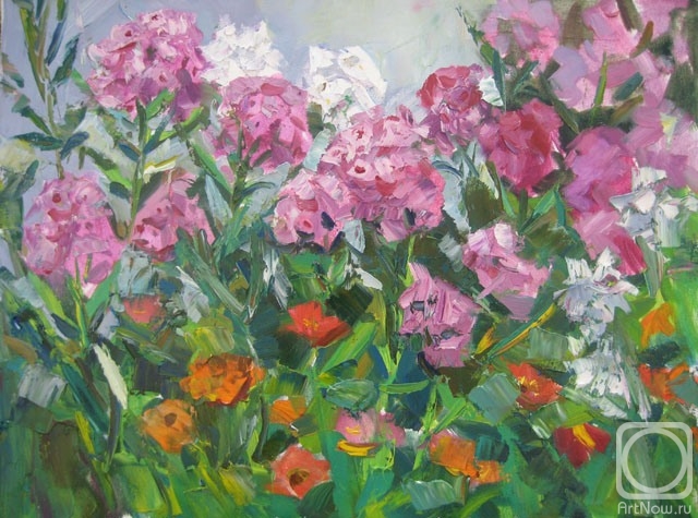 Pastuhova Julia. Phlox