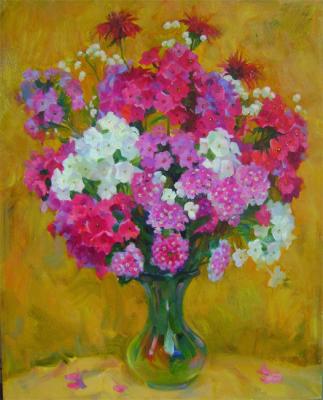 Bouquet, phlox. Dianov Mikhail