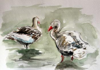 ������� ���� �����